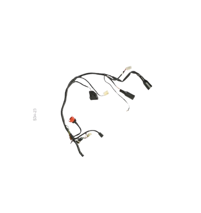 Arnes Principal / C06050019