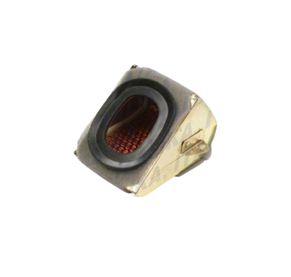 Elemento Filtrante / F08010032
