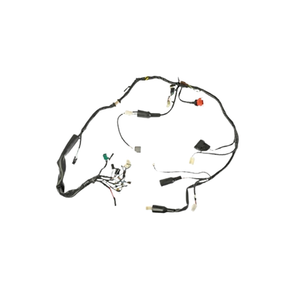 Arnes Principal / C06050019