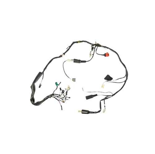 Arnes Principal / C06050019