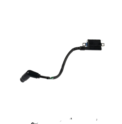 Bobina Ignición / C06060029