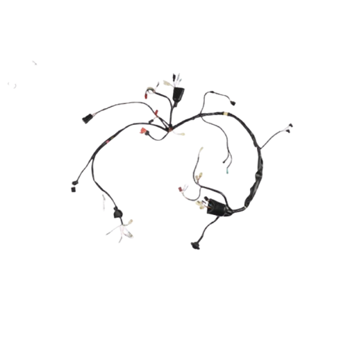 Arnes Principal  / C06050009