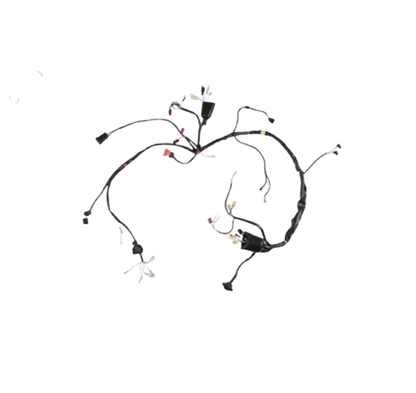 Arnes Principal  / C06050009