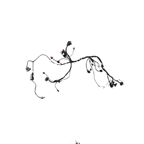 Arnes Principal / C06050004