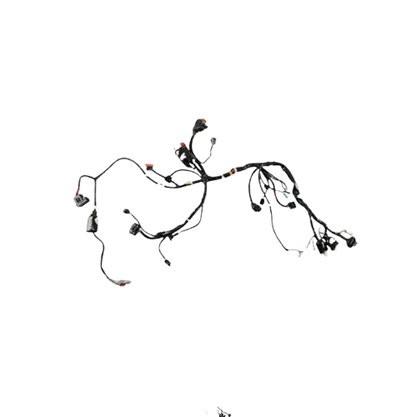 Arnes Principal / C06050004