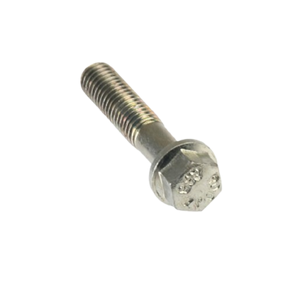 Tornillo M6X30 / M10060005