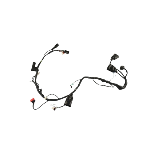 Arnes Principal / C06050017