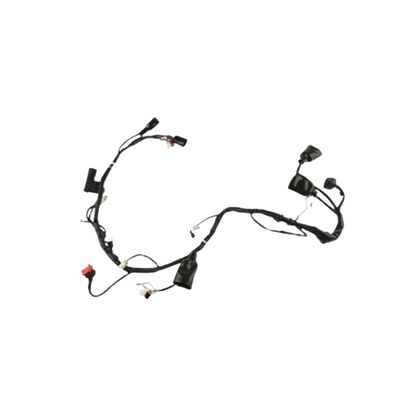 Arnes Principal / C06050017