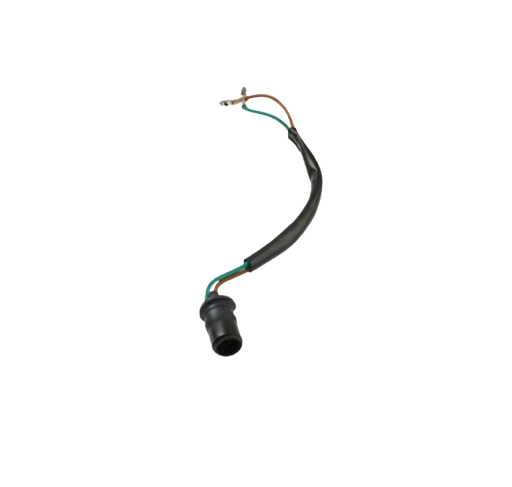 Arnes Faro / C06050027