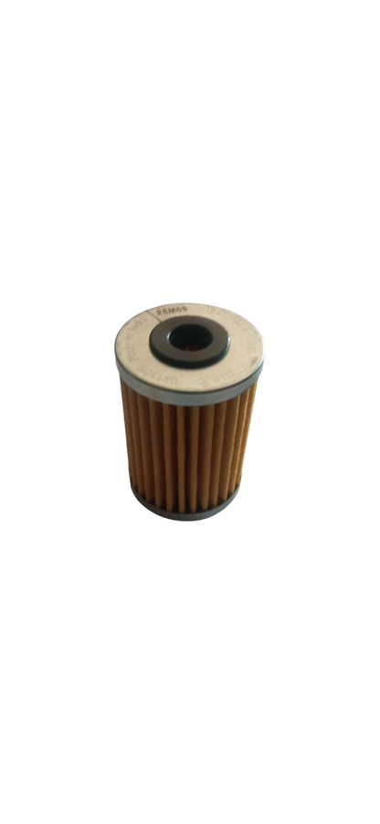 Filtro Aceite / M09020011