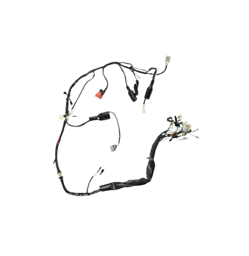 Arnes Principal / C06050024