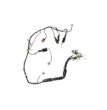 Arnes Principal / C06050024