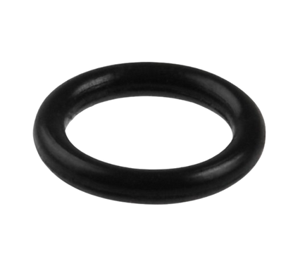 O-Ring / M10030007