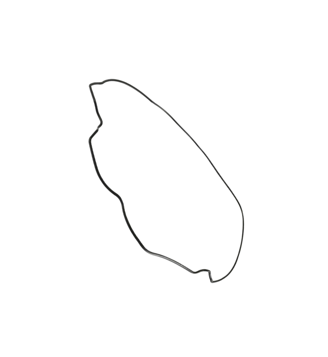 Junta Filtro Aire / C08010004