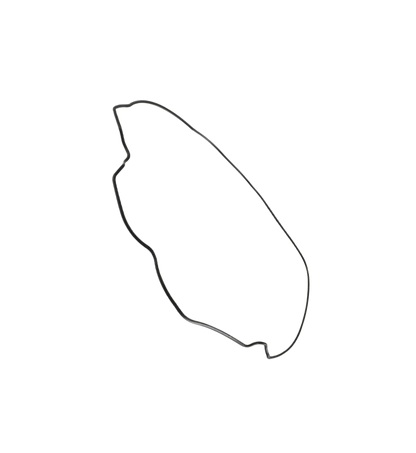 Junta Filtro Aire / C08010004