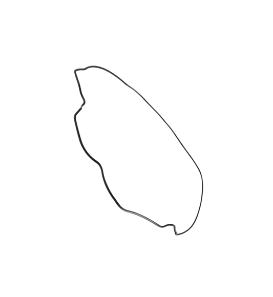 Junta Filtro Aire / C08010004