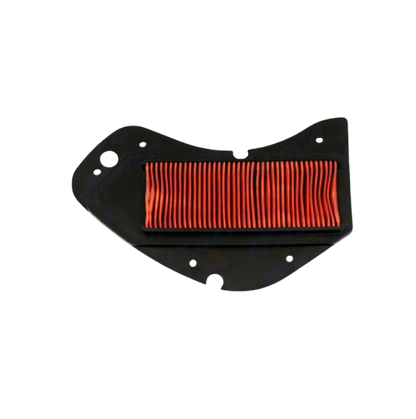 Elemento Filtrante / F08010154