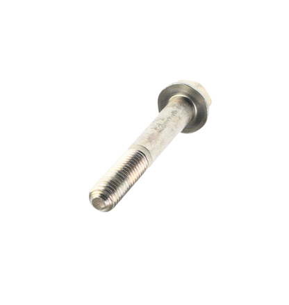 Tornillo 8X55 / C05030021