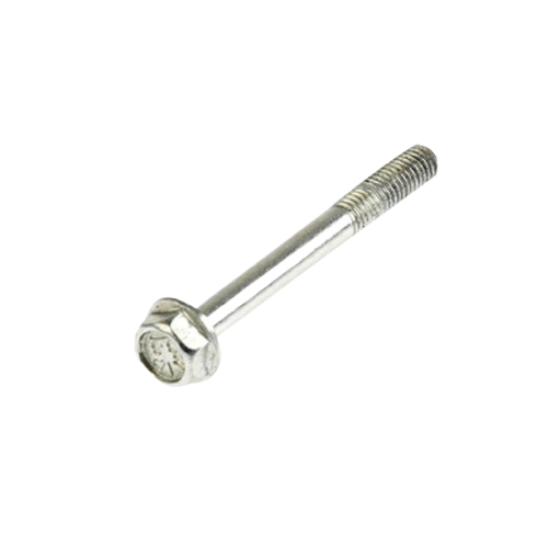 Tornillo M6X55 / M10060010