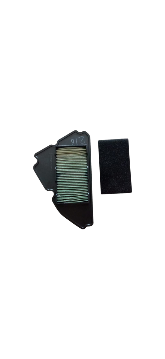 Elemento Filtrante / C08010058