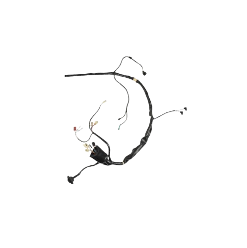 Arnes Principal  / C06050009