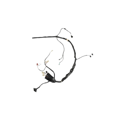 Arnes Principal  / C06050009