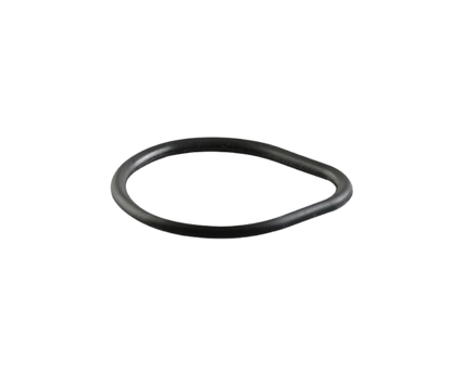 O-ring / M02030019