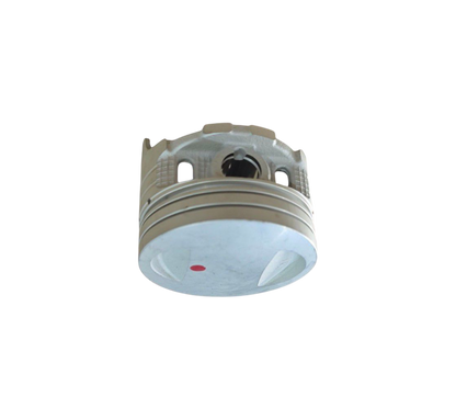 Piston / VM05010097