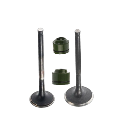 Kit de Válvulas Xoom 110 2025 / M04050014 / M04050016 / M04020003