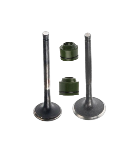 Kit de Válvulas Xoom 110 2025 / M04050014 / M04050016 / M04020003