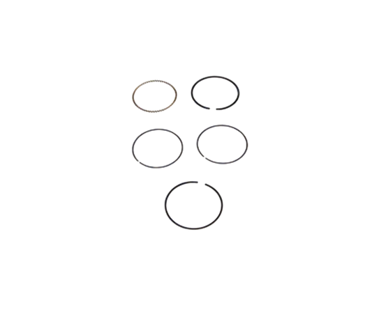 Juego De Anillos De Pistón / E08010157