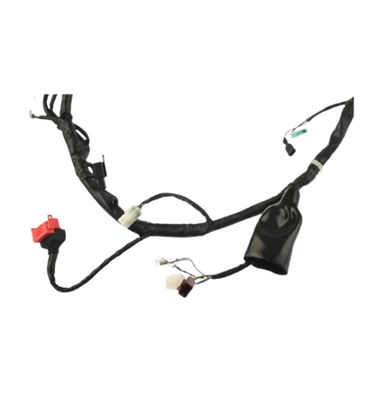 Arnes Principal / C06050017